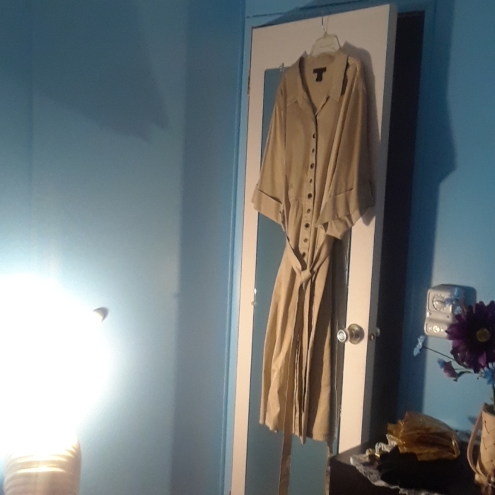 Casual or Semi-Casual Dress